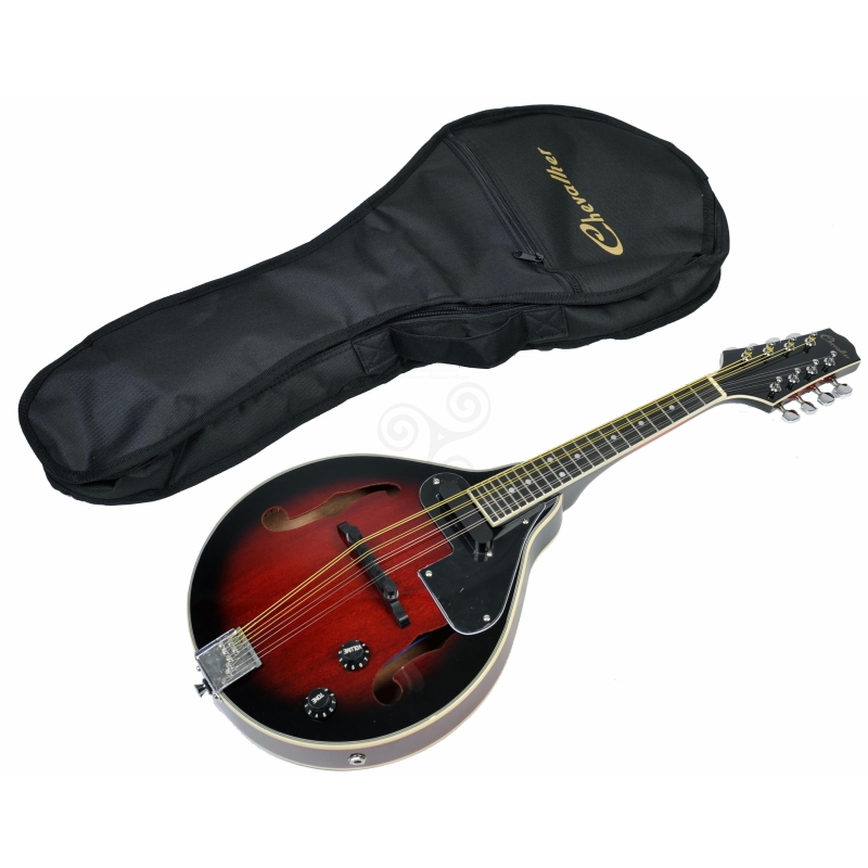 Mandoline électro acoustique country bluegrass celtique