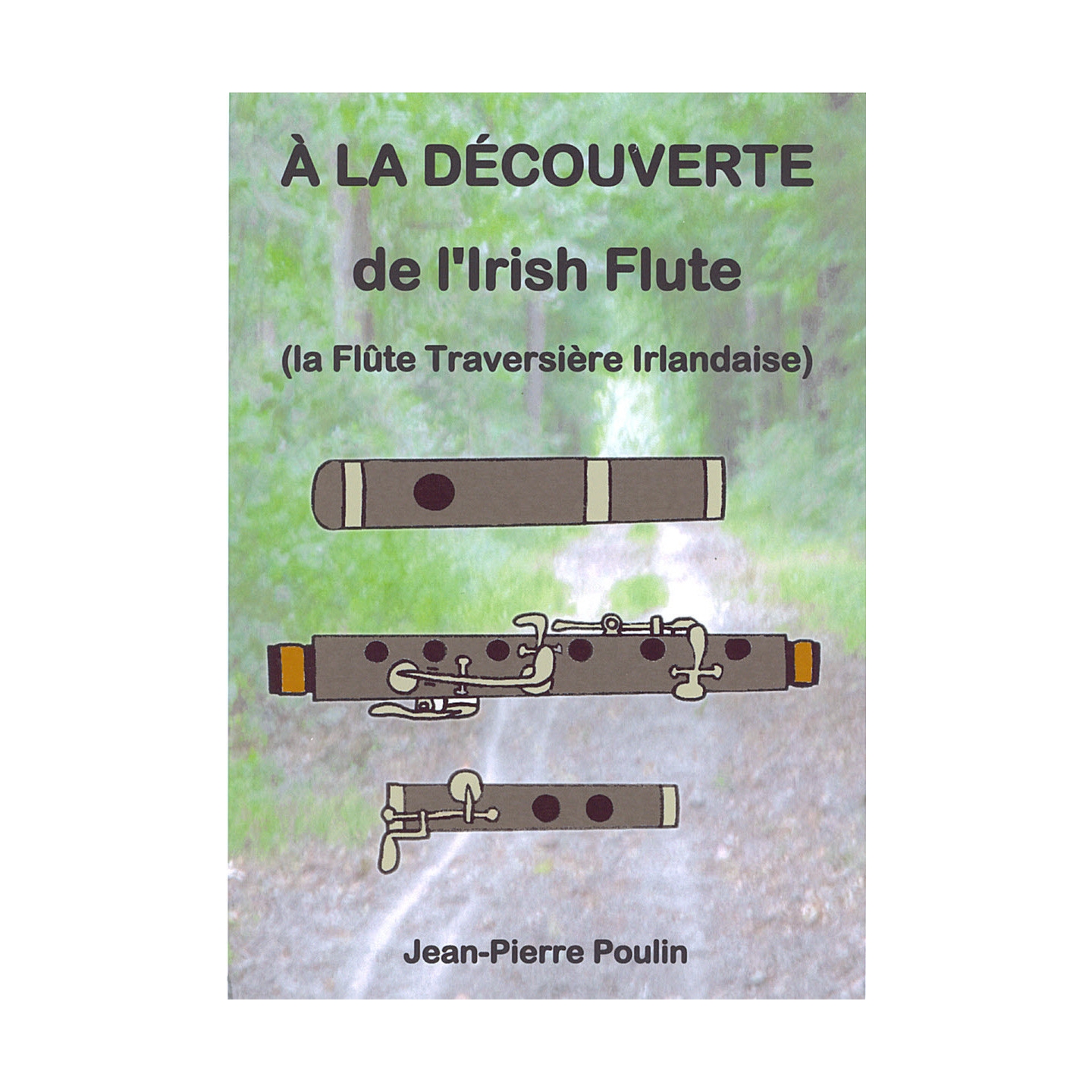 Flûte irlandaise traditionnelle en cuivre avec 6 trous - Clé C/D - Mini  instrument de musique de poche (clé D, noir)